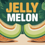 coupe jelly melon orange cornes chair verte